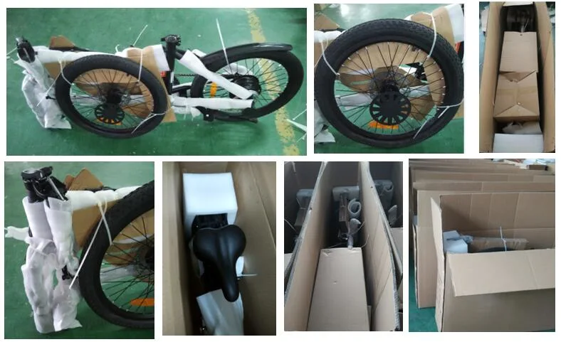 Europe Factory for New Hot Folding Electirc Bicycle with Fat Tire Wheel 48V 350W 500W Intaly Market