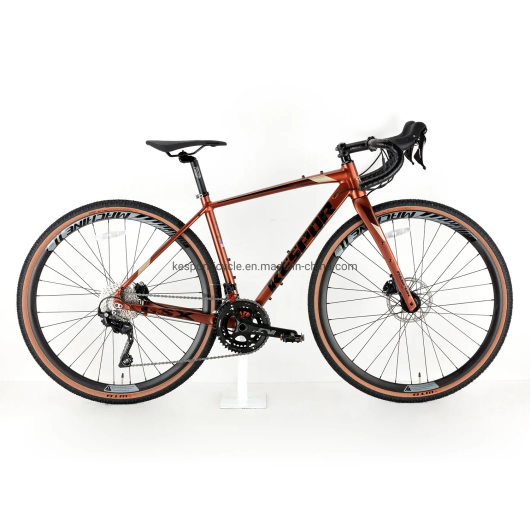 China Factory Customized 700c 20 Speed Gsx Road Bike Bicycle with Alloy Frame and Carbon Fork Gravel Bike